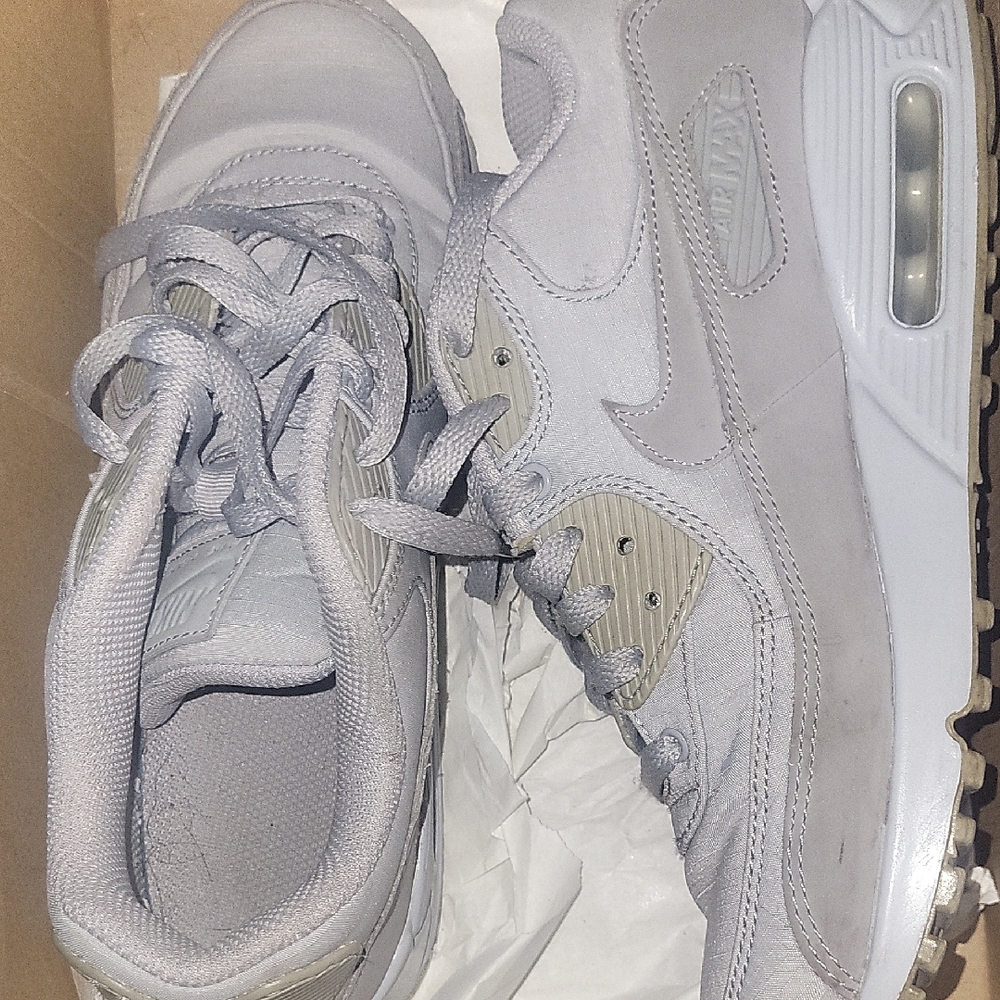 Nike Air Max Light Gray Sneakers